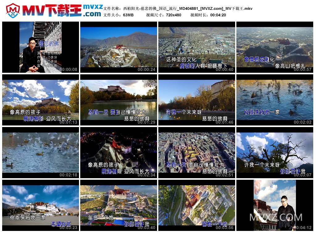 西柏阳光-慈悲的佛_国语_流行_MD404881